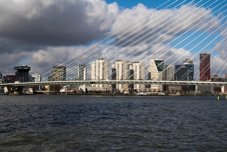 Erasmusbrug 3