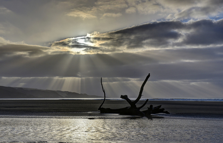 Abel Tasmanzee