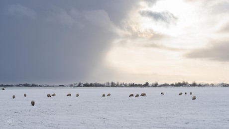 Winter Groninger Land 