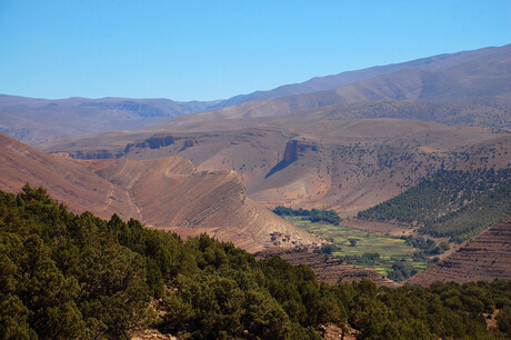 Tabant, Marokko