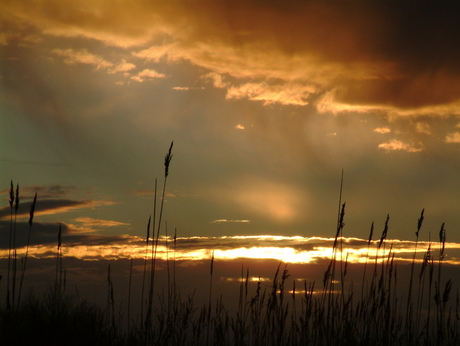 Zonsondergang Nationaal Park Lauwersmeer