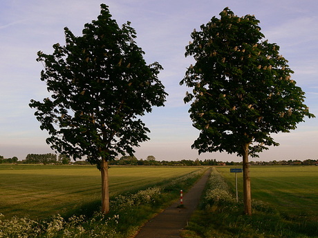 Wachters nabij Nederasselt