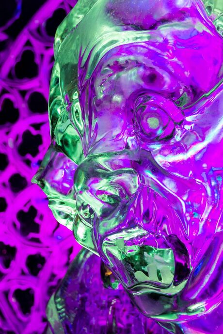 Klokkenluider vd Notredame