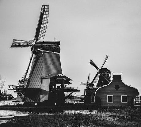 Zaanse schans 2020-3