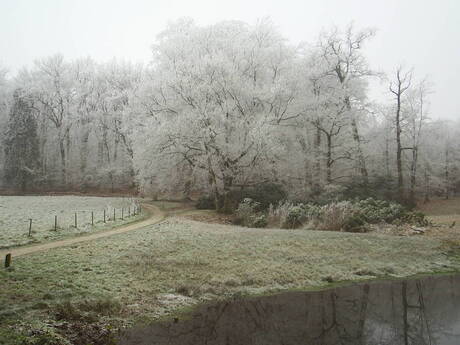 Winterochtend