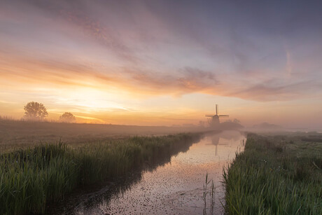 Molen in de mist