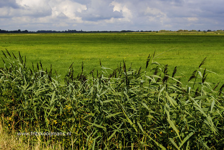 Grasland met mooie lucht bij de Smalle Ee