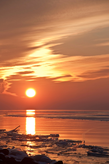 Zonsondergang Oostvaardersdijk-2