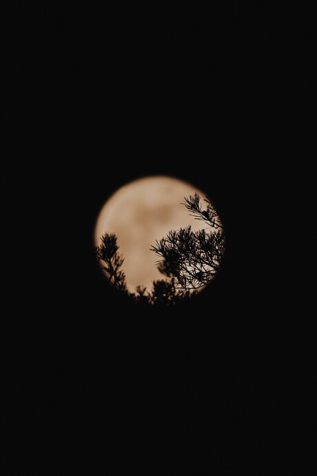 Full moon