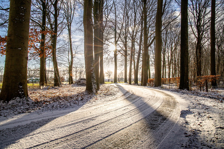 Zonnige winterdag