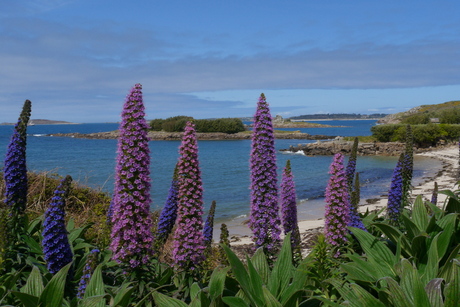 Scilly-island (Cornwall)