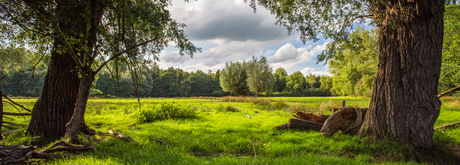 Oirschotse Mortelen-5