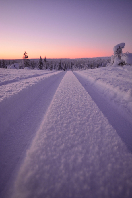 Spoor in Lapland