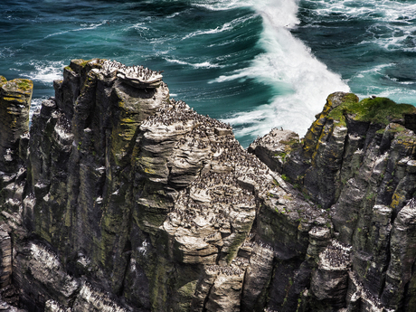 Ierland-Cliffs off Moher