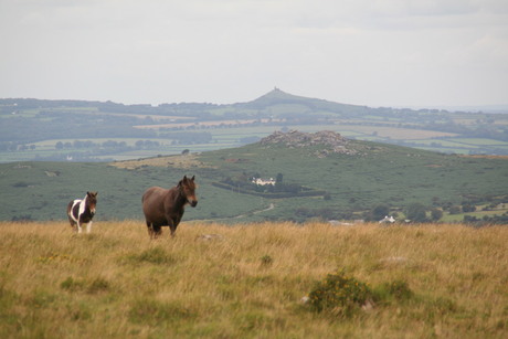 Dart Moor Engeland