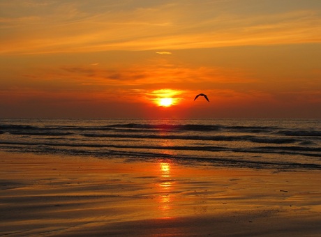 Terschelling