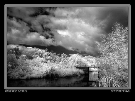 Biesbosch Anders