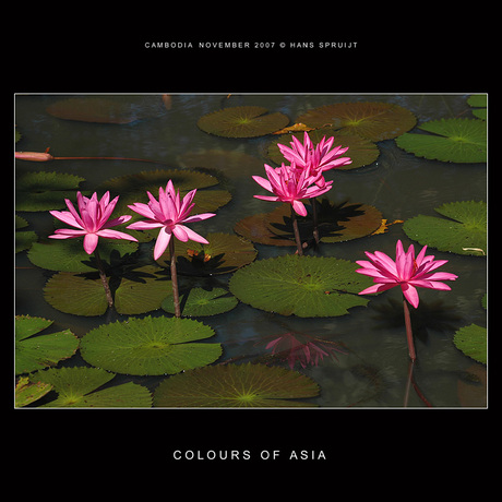 Colours of Asia