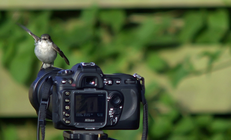 Hey, natuurfotograaf wel even opletten hoor!