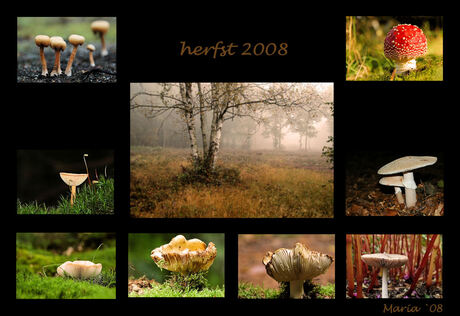 Herfst 2008