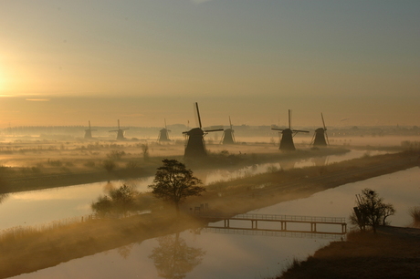 Kinderdijk bij morgenlicht