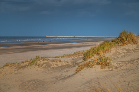 dans van licht en zand