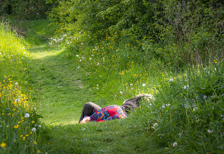 Oeps… sorry 🫣…