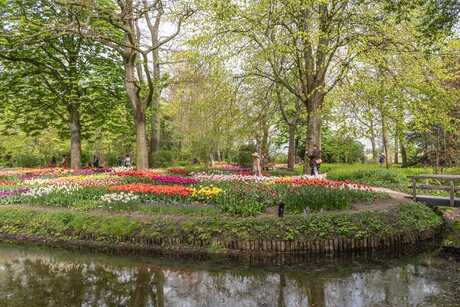 Water rondom een weelde aan bloemen