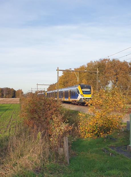 Zonder trein