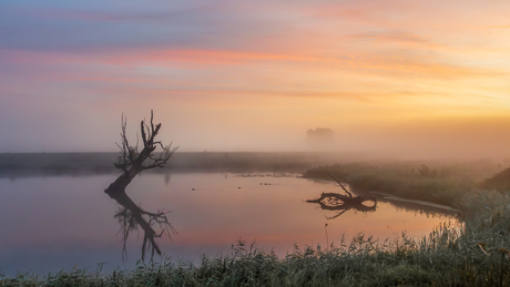 Zonsopkomst met mist in de Biesbosch 08-09-2025