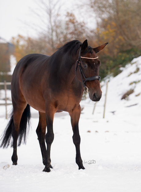 Genieten in de sneeuw!