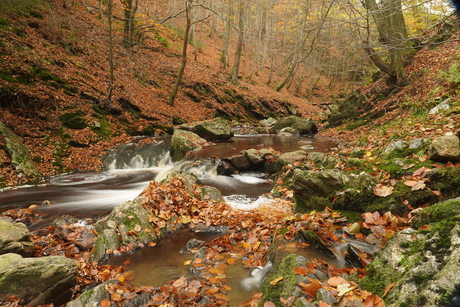 Herfst