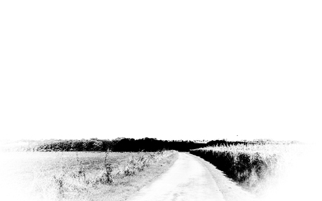 Contrasten in het landschap