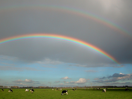 Hollands landschap met regenboog