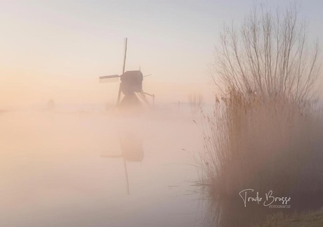 Kinderdijk