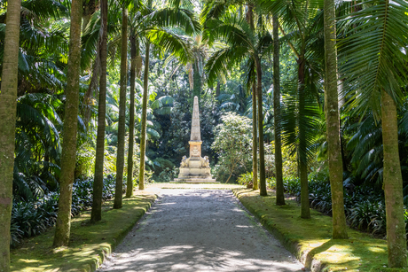 Botanische tuin op de Azoren