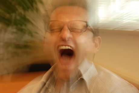 De Schreeuw van Michiel