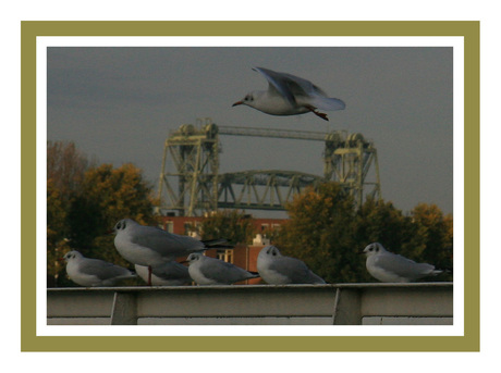 over de brug