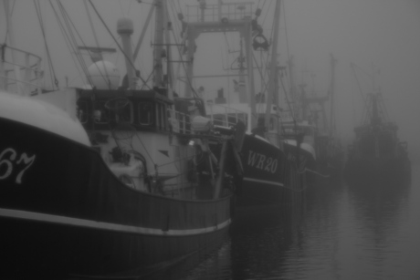 Mist in de haven