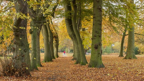 Herfst in Vught