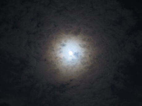 Altocumulus translucidus (CM3)