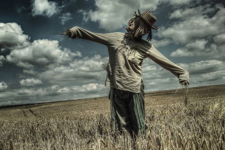 Wizzrd from Oz (2klik)