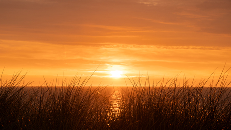 Zonsondergang vanuit de duinen