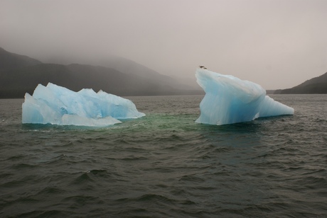 Tracy Arm