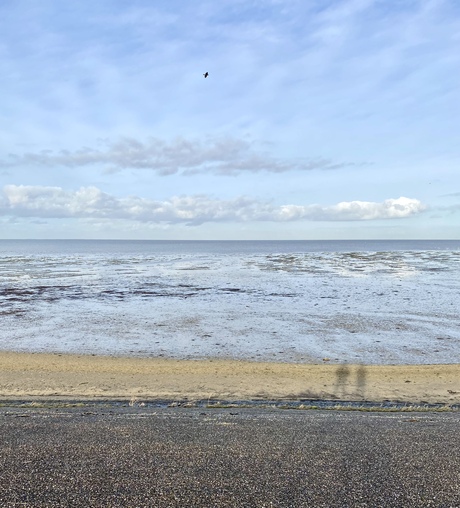 Wandeling op de dijk