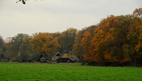 Twente in Herfstkleur.