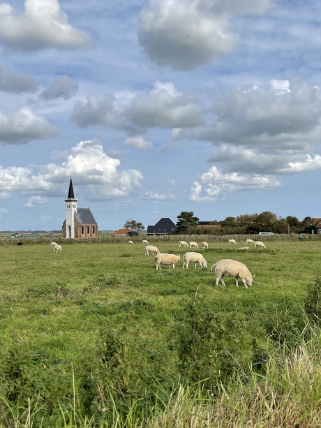 Prachtig Texel