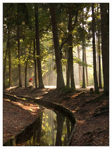 Een mooie herfstdag