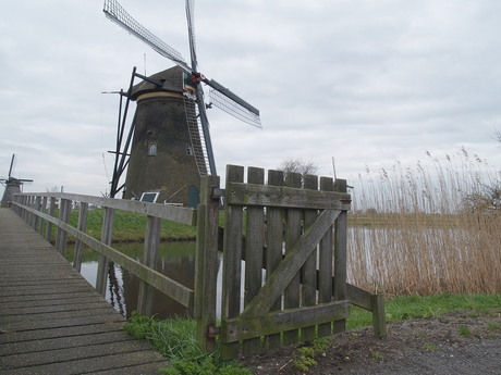 Kinderdijk