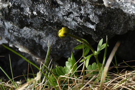 Beetje licht, beetje warmte